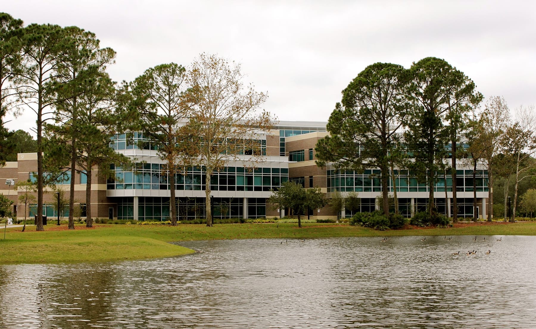 UNF College of Education building (photograph from the Wikimedia Commons category University of North Florida)