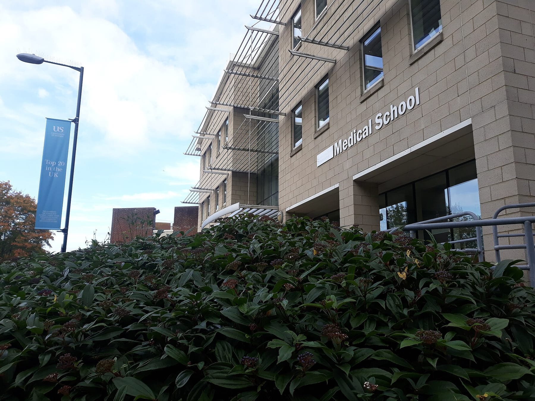 BSMS building (photograph from the Wikimedia Commons category University of Sussex)